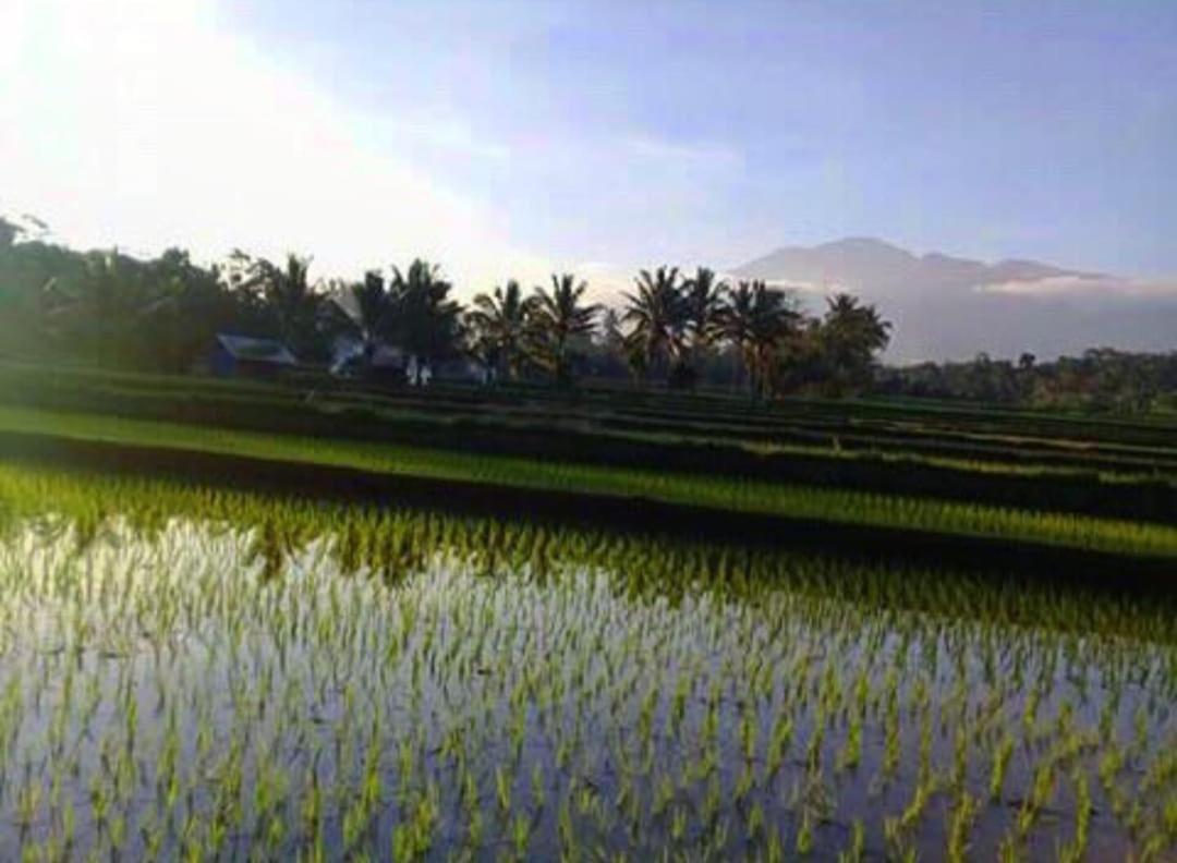 Sky Garden Lombok Tetebatu Exterior foto
