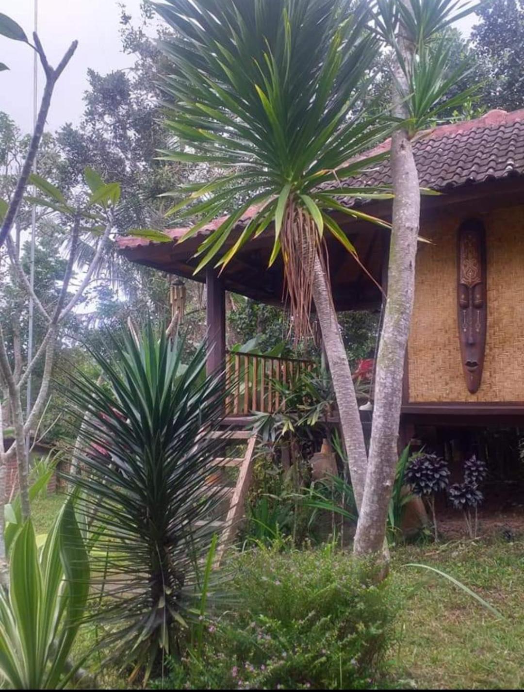 Sky Garden Lombok Tetebatu Quarto foto